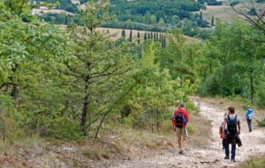 De Cammino in Umbrië – Wandelen, rust en ruimte