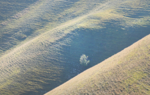 Stil worden & dialoog aan tafel