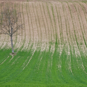 Een natuurlijk ritme
