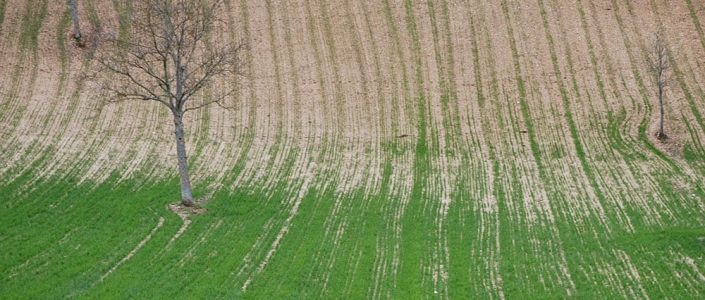 Een natuurlijk ritme