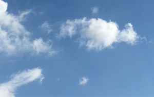 Individuele coaching mindfulness & persoonlijk leiderschap