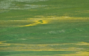 Verantwoord handelen; zorg voor anderen en jezelf