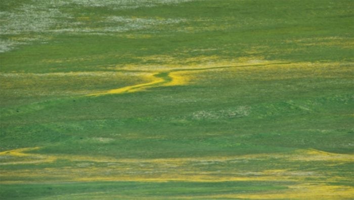 Verantwoord handelen - Giotto Cultuurprojecten