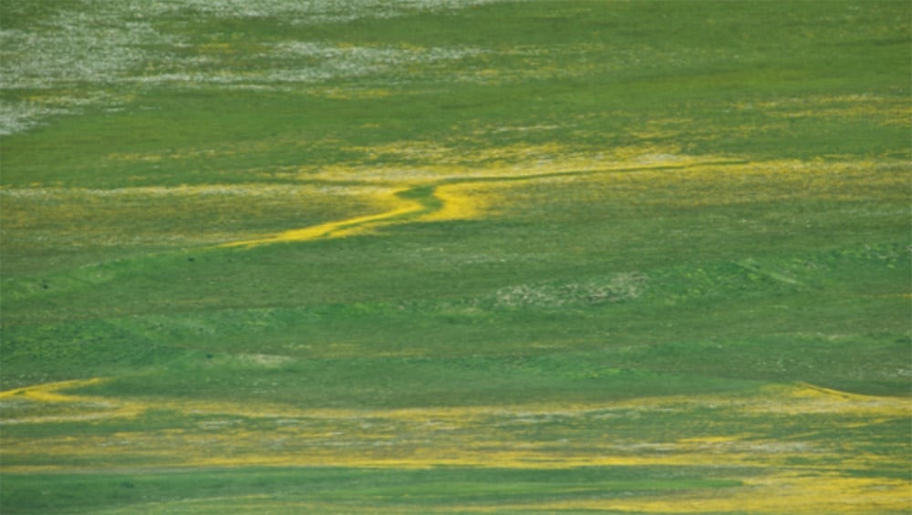 Stil worden & dialoog aan tafel Utrecht