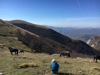 Beweging voor het lijf en rust voor je brein - Giotto Cultuurprojecten